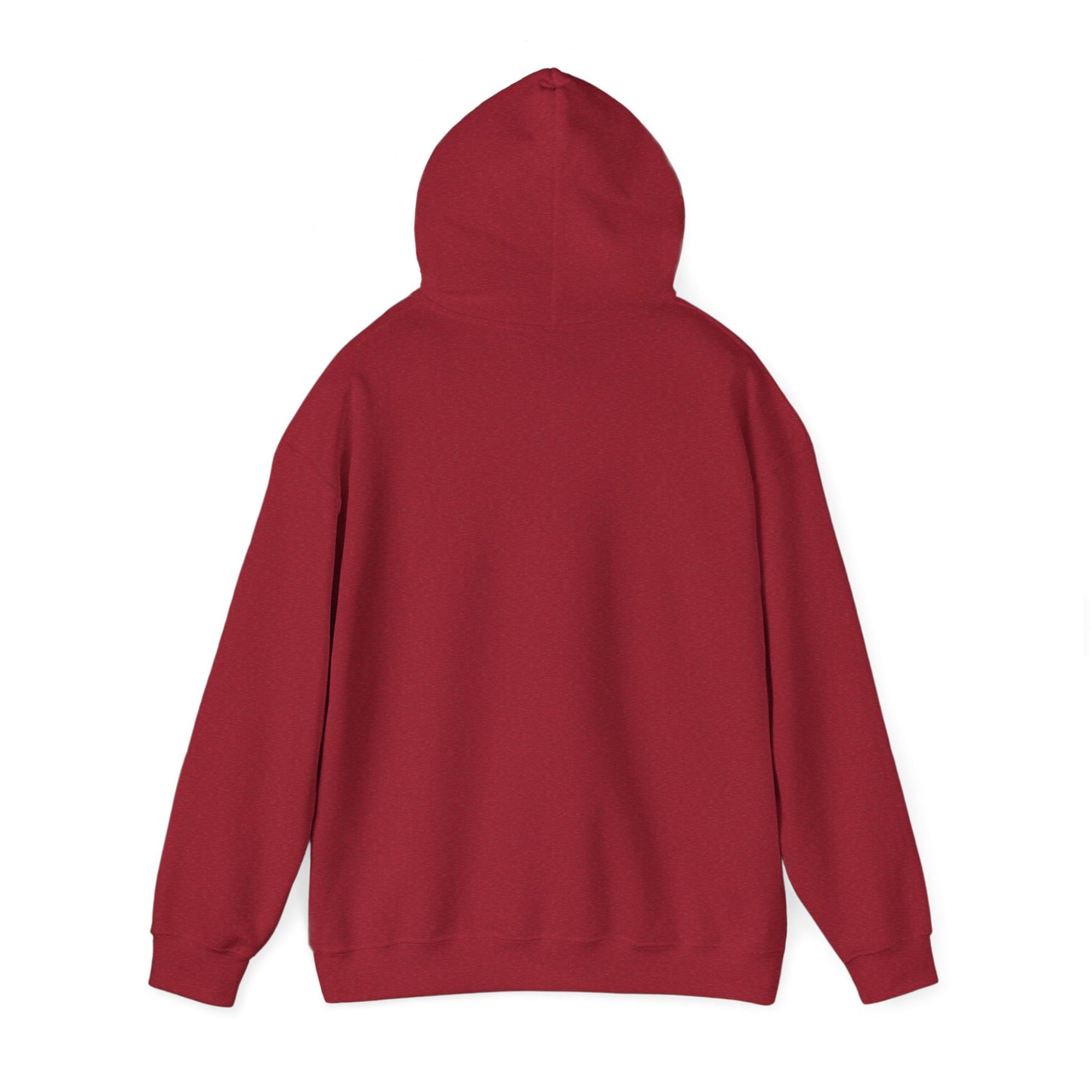 Alpha Pullover Hoodie