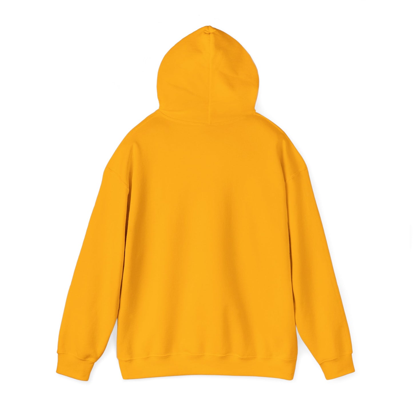 Aleph Men's Pullover Hoodie