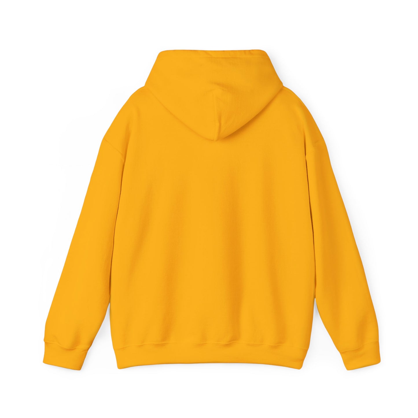 Alpha Is Wealth Pullover Hoodie