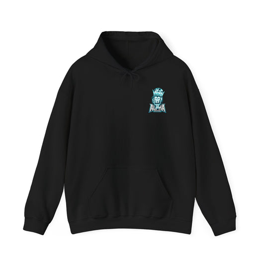 Alpha Mode Pullover Hoodie