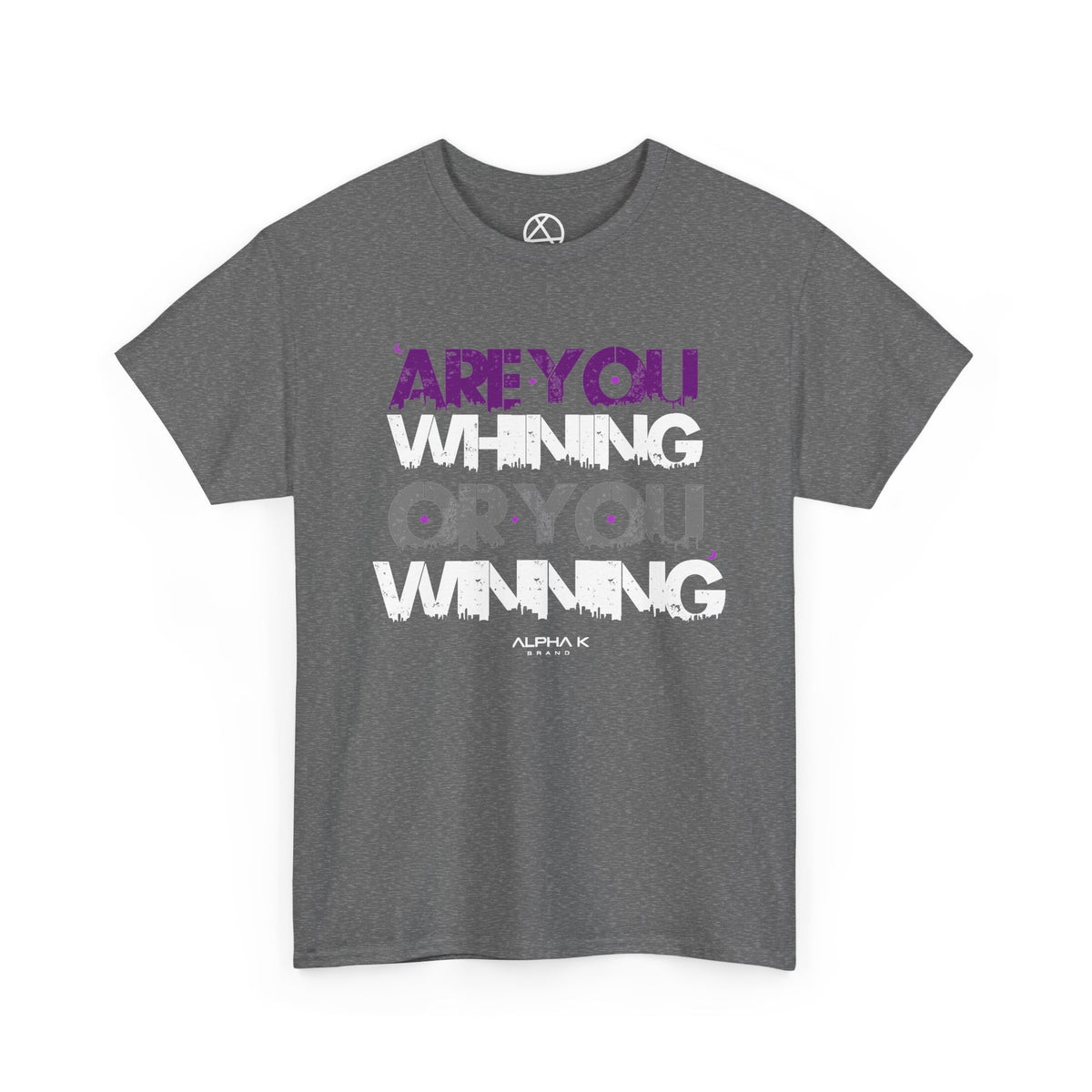 Are You Whining Or You Winning T-Shirt