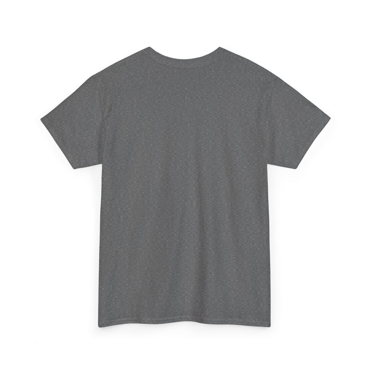 Pray Process & Propser T-Shirt
