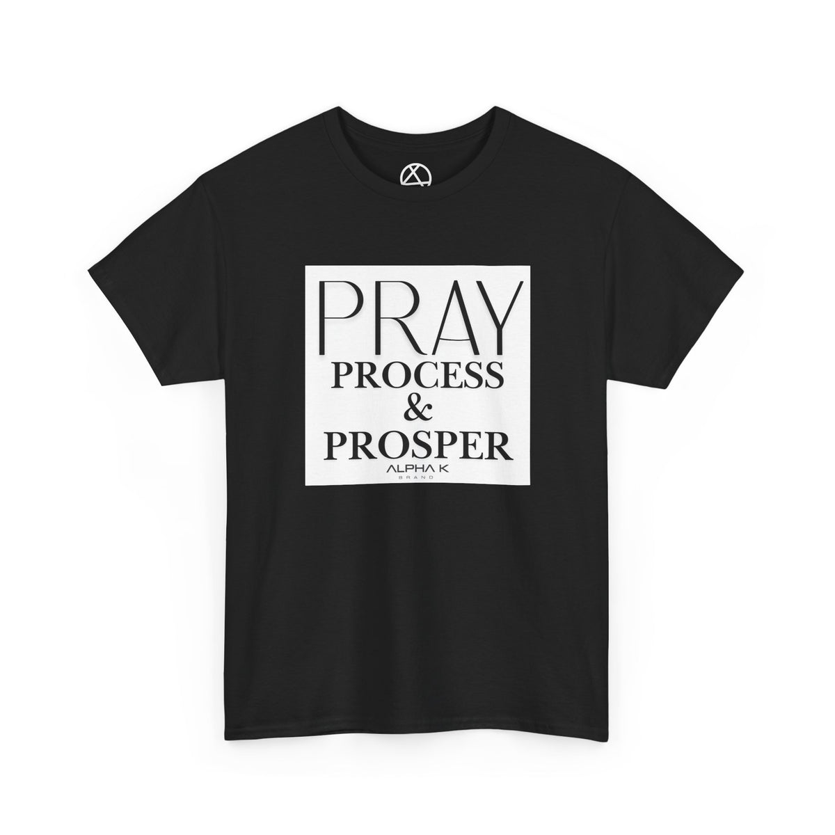 Pray Process & Propser T-Shirt